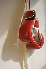 Boxing gloves