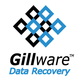 data recovery services professional data recovery service