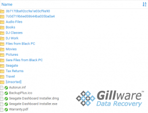 Gillware Online Recovery Portal View