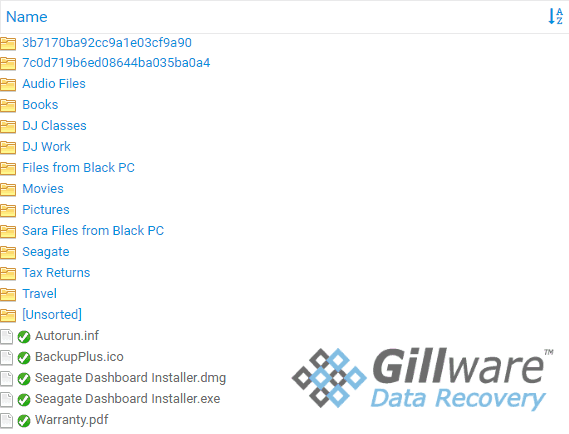 Gillware Online Recovery Portal View