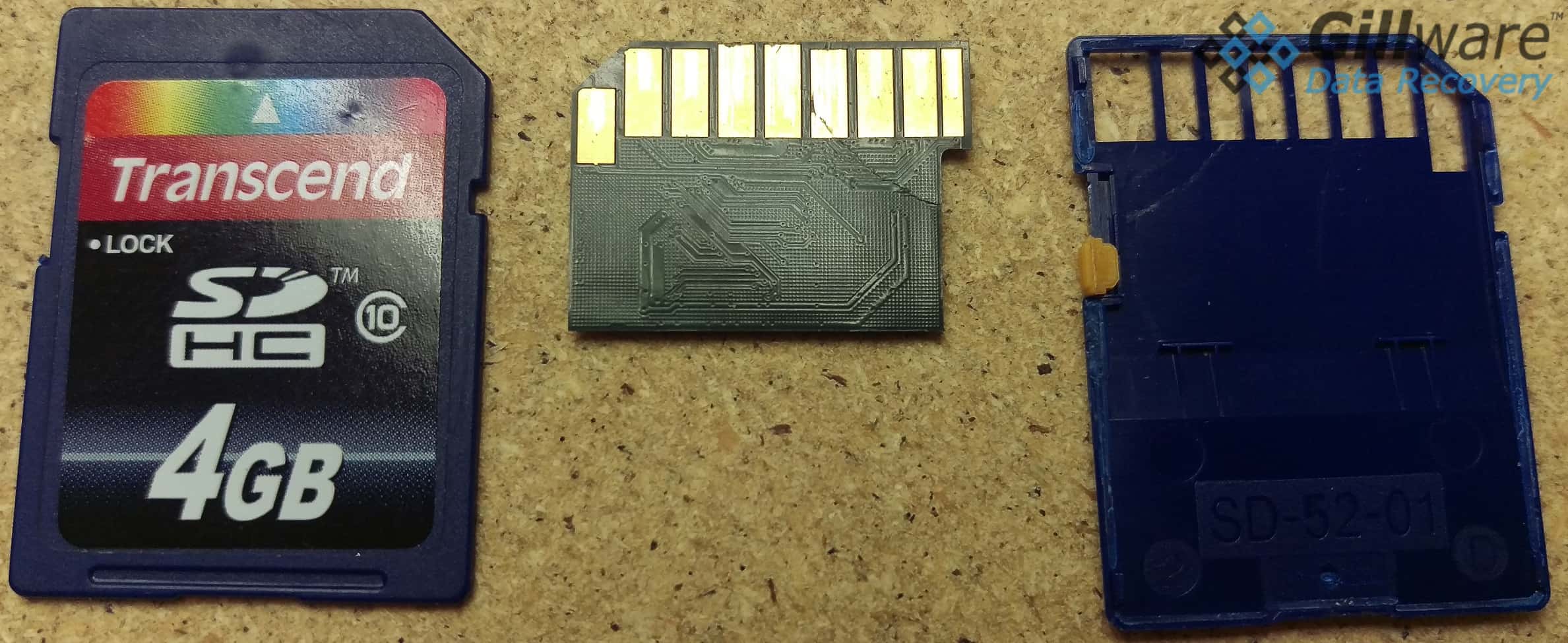 sd memory card recovery torrent