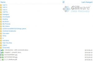A sample of the data recovered from one of the deleted ThawSpace partitions.