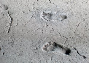 Employee Data Theft leaves traces, like these 2000+ year old footprints