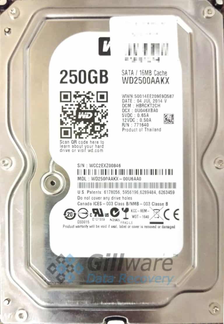 Western Digital 250GB hard drive