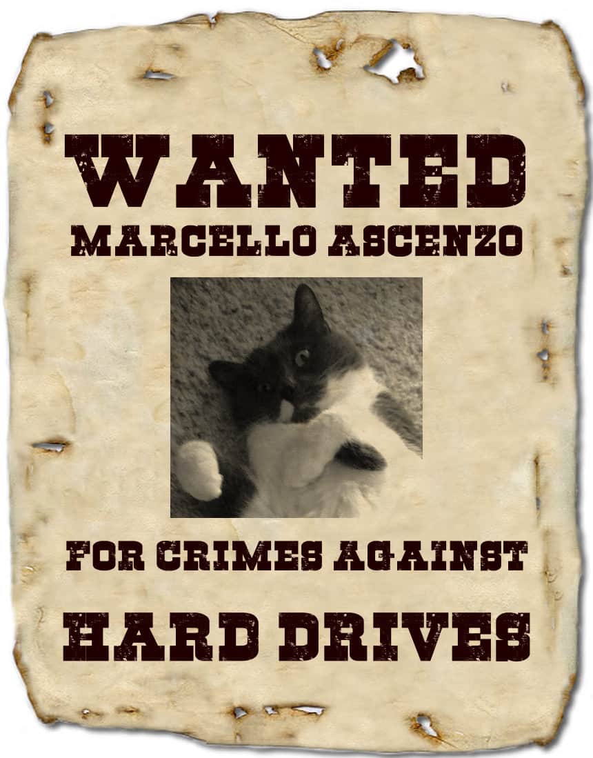 Wanted Poster picturing cat, with crimes against hard drives as accusation