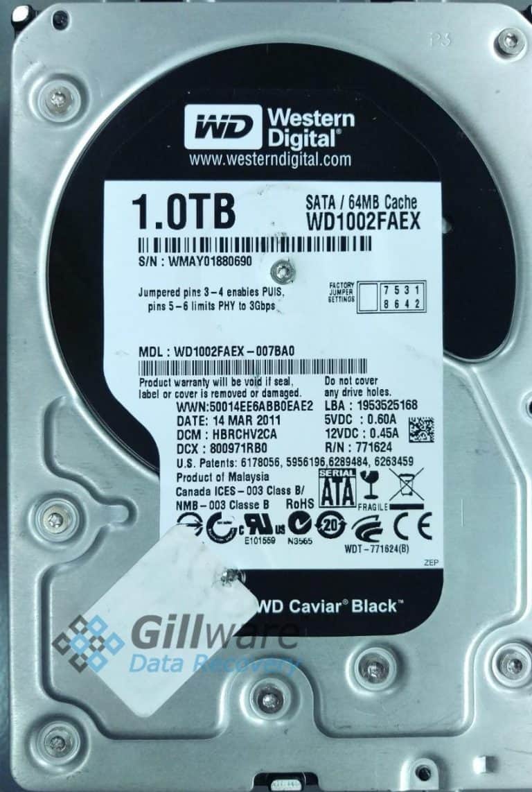 Western Digital Server Crash