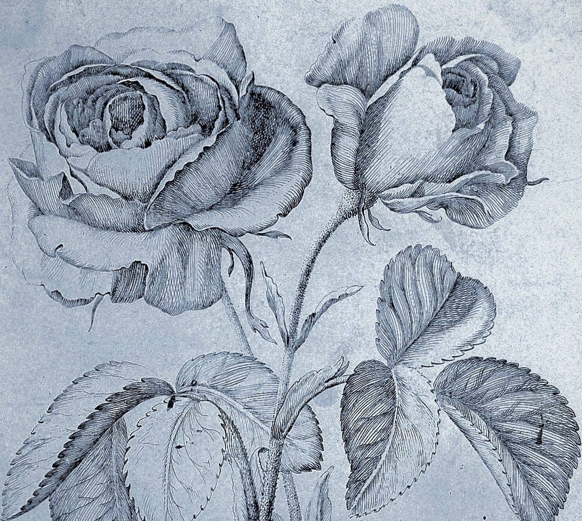Recovering from ransomware by strategically "renaming your roses"