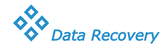 gillware-data-recovery-logo-rect-darkbg_324x90