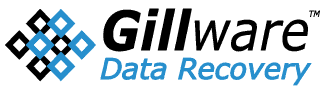 gillware-data-recovery-logo-rect-lightbg_324x90