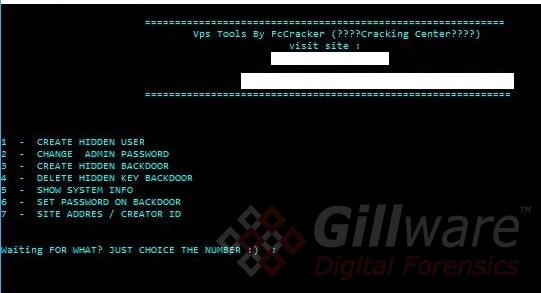 Screenshot of VPS Tools.bat when run.
