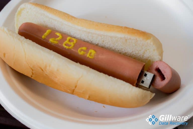 128 GB USB flash drive hot dog