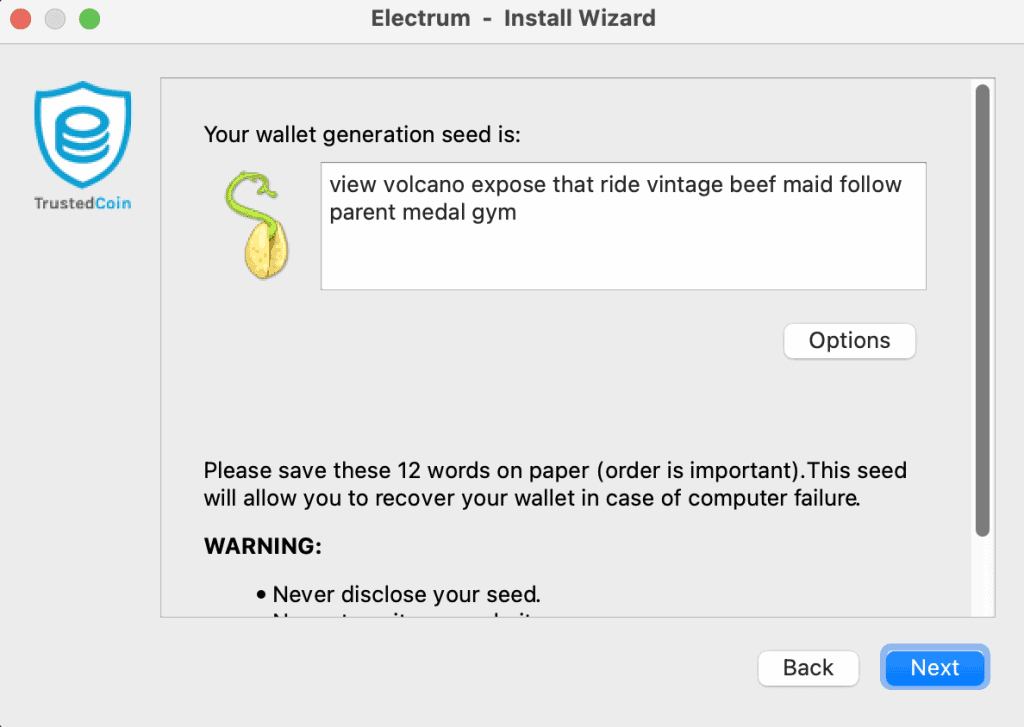 Saving a new seed phrase for your Electrum wallet.
