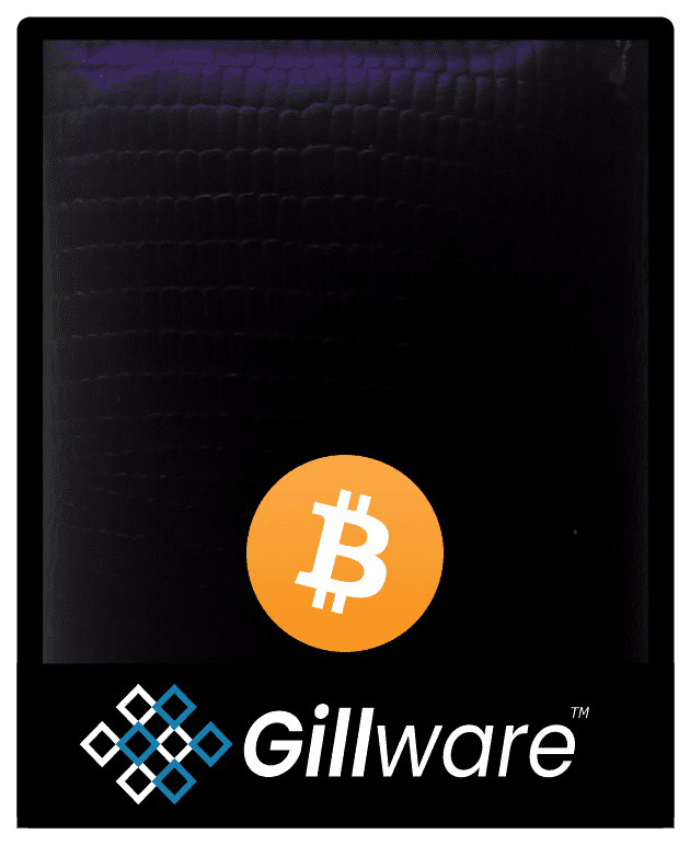 gillware-data-recovery-btc-wallet-what-is-a-bitcoin-wallet-bitcoin-graphic