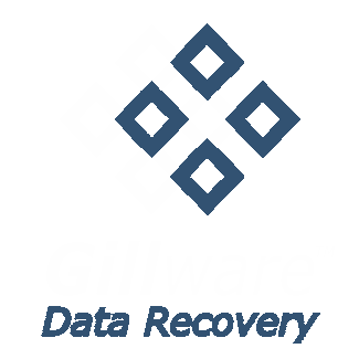 gillware-data-recovery-transparent-background-custom-logo