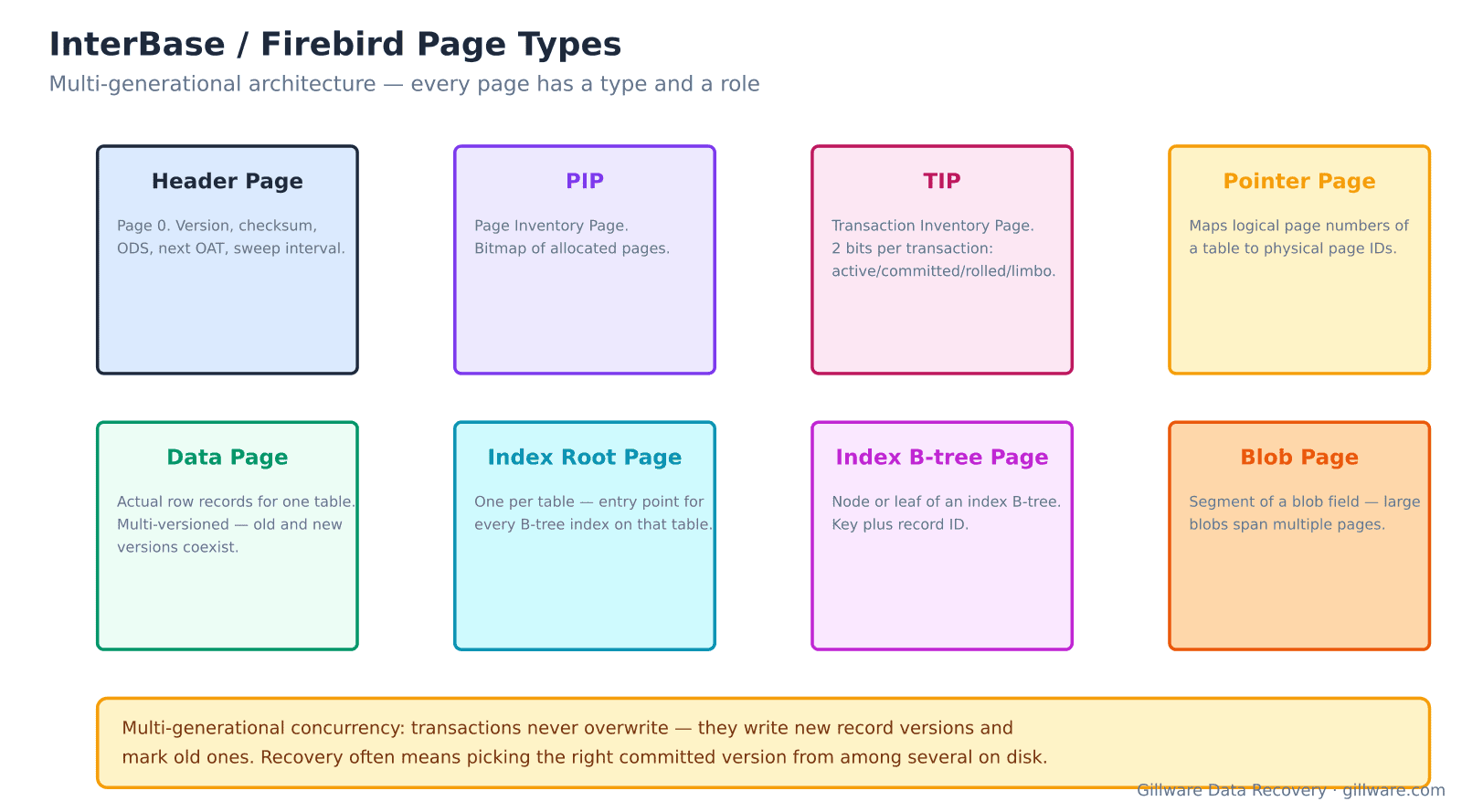 InterBase and Firebird page types: header, PIP, TIP, pointer page, data page, index root, blob page