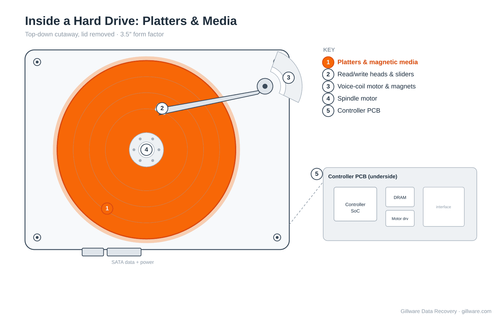 Hard drive cutaway diagram with the platter stack highlighted, where data is stored on the thin magnetic media.
