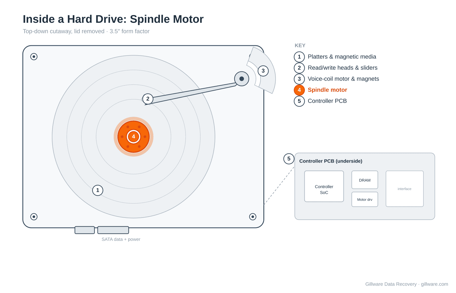 Hard drive cutaway diagram with the central spindle motor and hub highlighted.